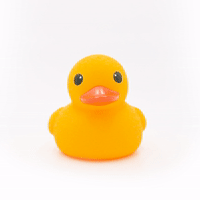 Rubber Duck
